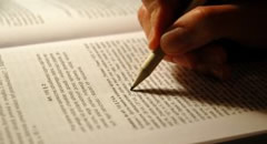 怎样充值最快的cc网页端